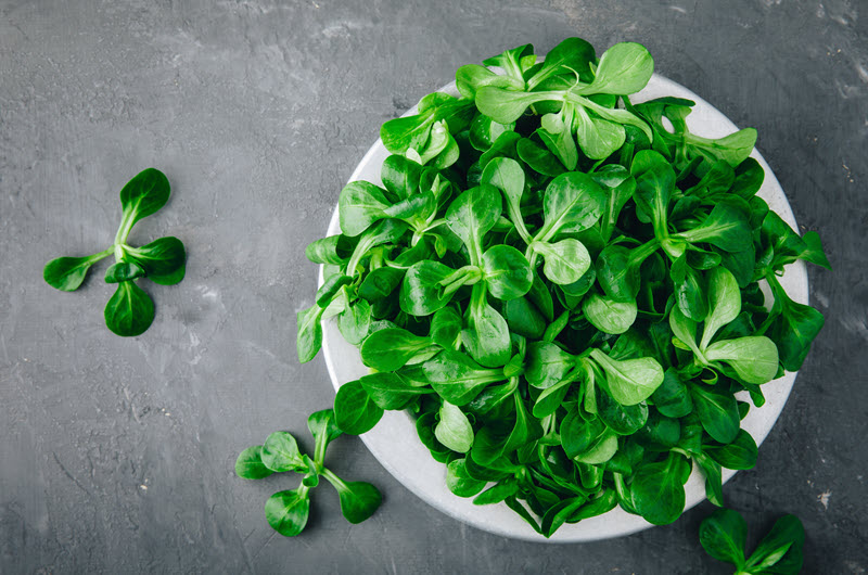 Feldsalat mit Birnen - Rezeptidee Ihres Ernährungsberatungs-Teams des medicos.AufSchalke